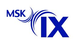 logo_mskix