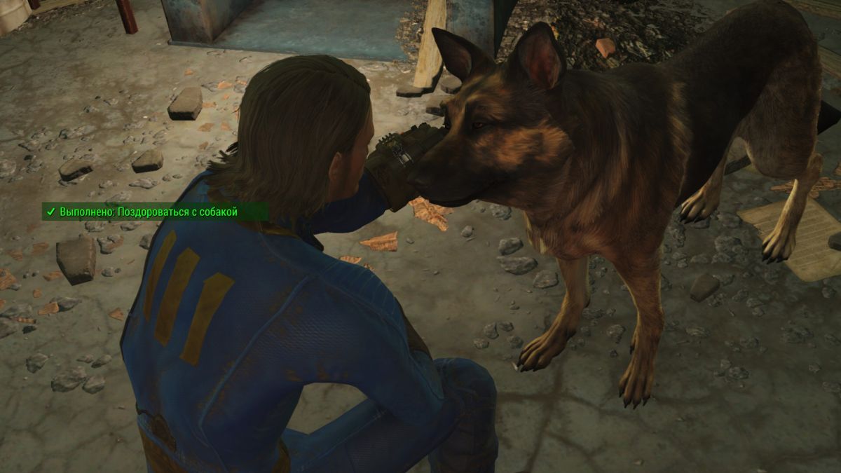 Fallout 4 пес