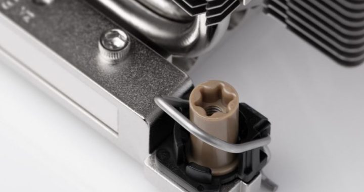 noctua