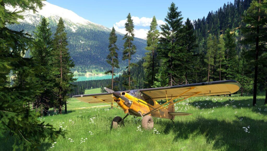 Flight Simulator 2024 от Microsoft