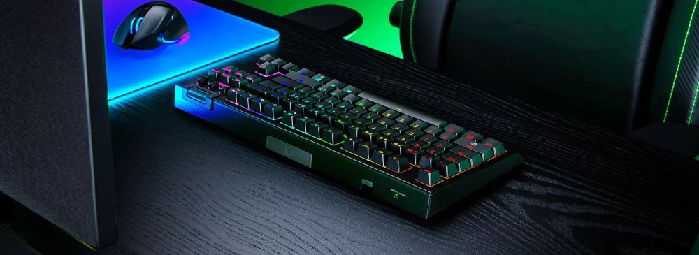BlackWidow V4